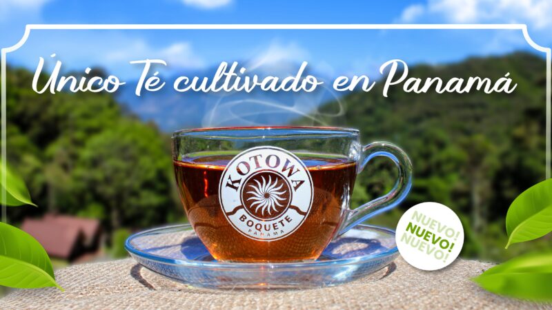 Por primera vez un té 100% cosechado y producido en Panamá
