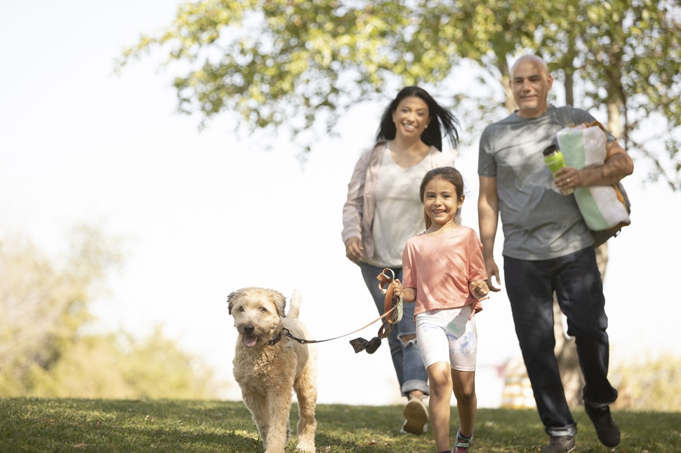 Día Internacional de la Familia:7 formas de cultivar buenos hábitos alimenticios en los niños