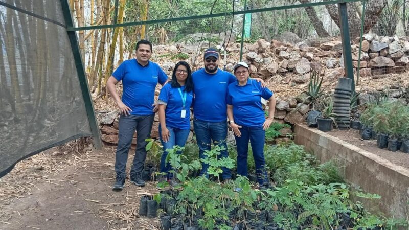 Voluntarios de Samsung demostraronque el poder del cambio ecológico está en nosotros