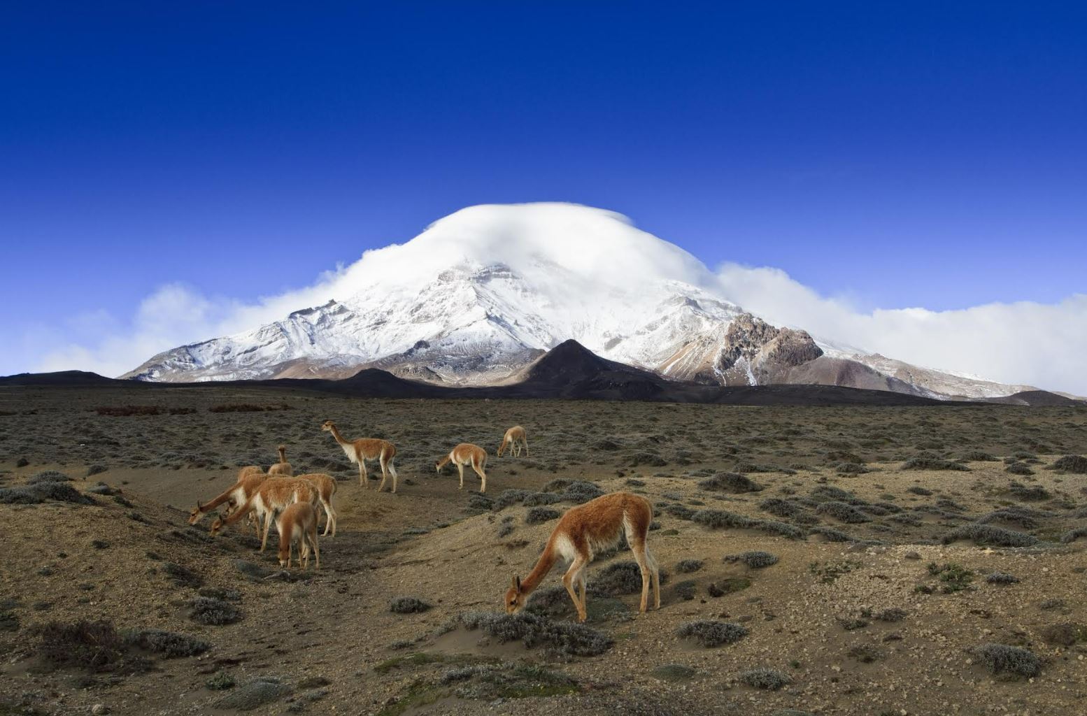 ECUADOR: DIVERSIDAD Y AVENTURA EN LA MITAD DEL MUNDO