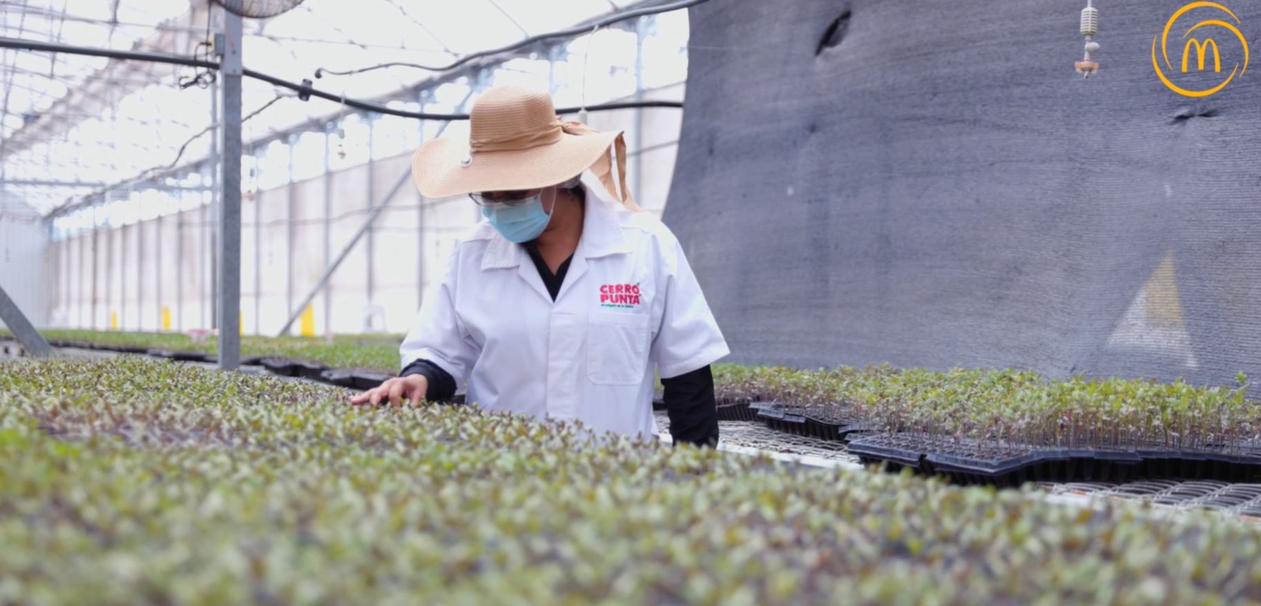 Proveedores locales, la base de una cadena de valor sostenible